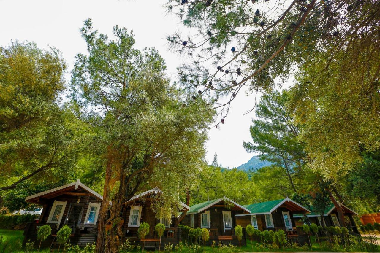 Green Pine Beach & Bungallows 히사뢰뉘 외부 사진